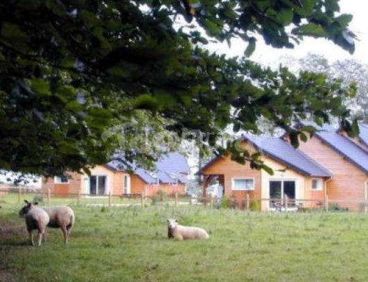 فيلا La Ferme Pillet Berville-en-Caux المظهر الخارجي الصورة